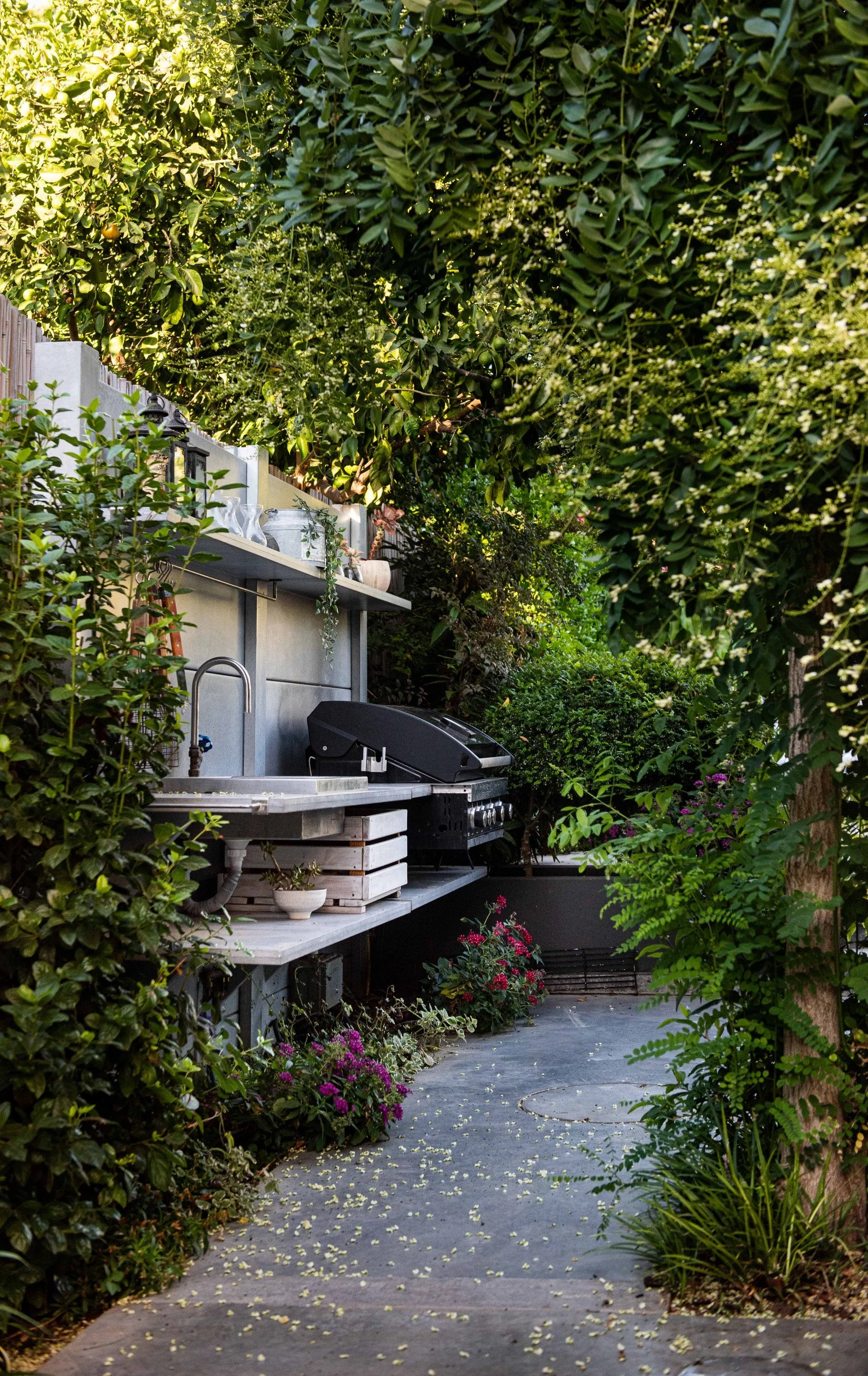 5 Things You Need to Know About Biophilic Design