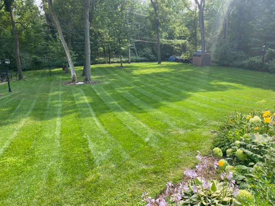 Justified Living Landscaping