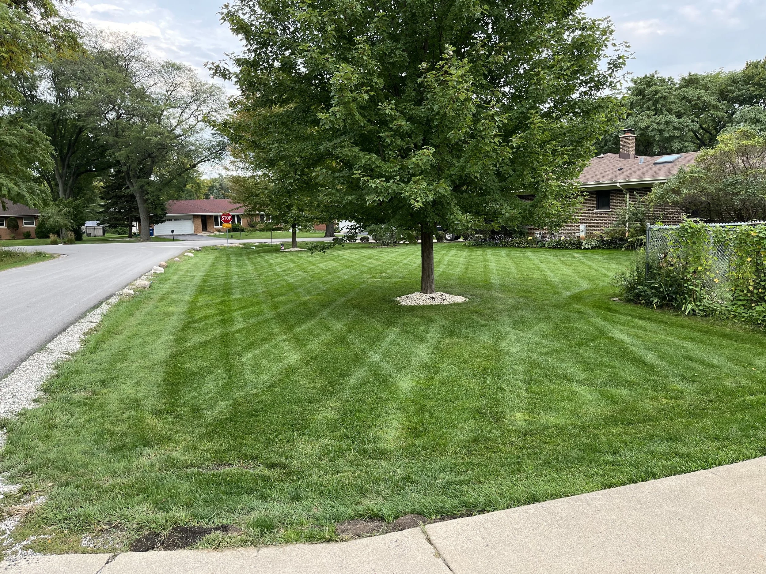 Weekly Lawn Care - Beautiful Striping in Addison Illinois