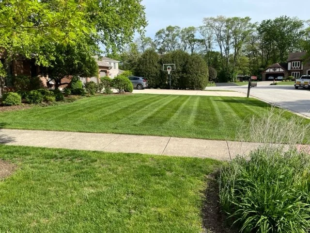 Weekly Lawn Care - Beautiful Striping in Addison Illinois