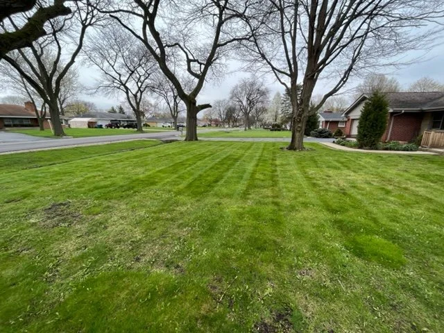 Weekly mowing near addison illinois