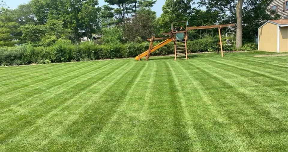 Addison Illinois Lawn Care and Maintenance