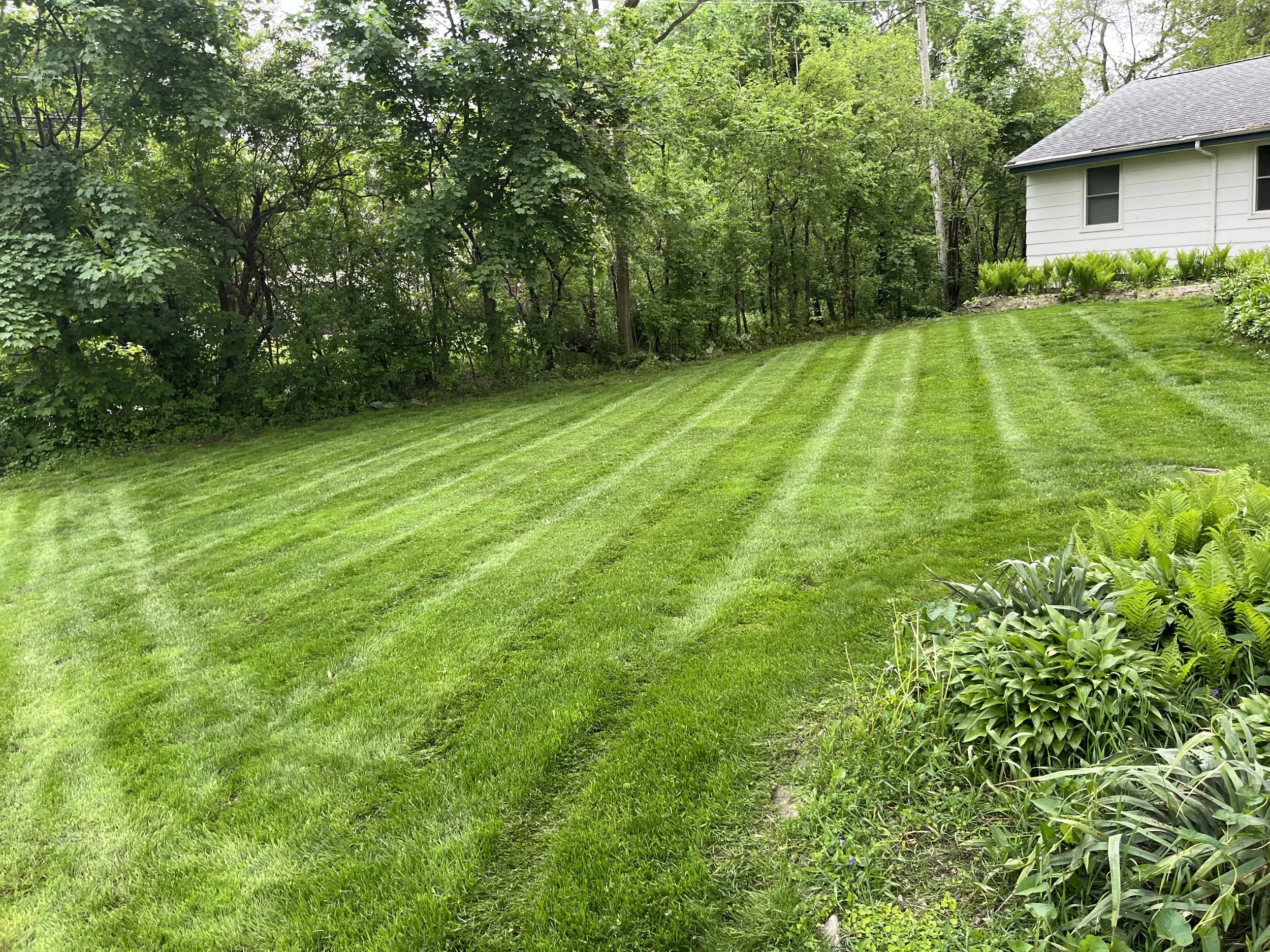 Weekly Lawn Care - Beautiful Striping in Itasca Illinois