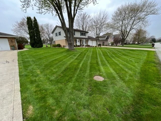 Lawn care and maintenance near schaumburg illinois