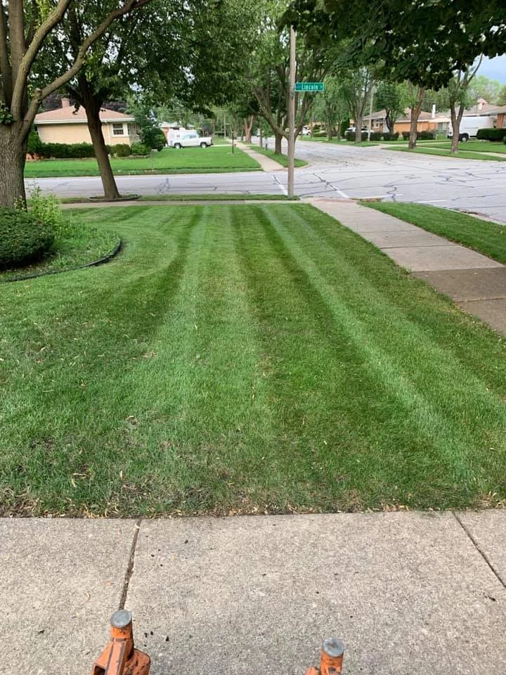 Roselle Illinois lawn care and maintenance