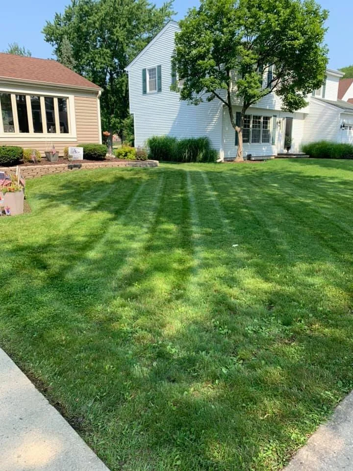 Bloomingdale Illinois lawn care and maintenance