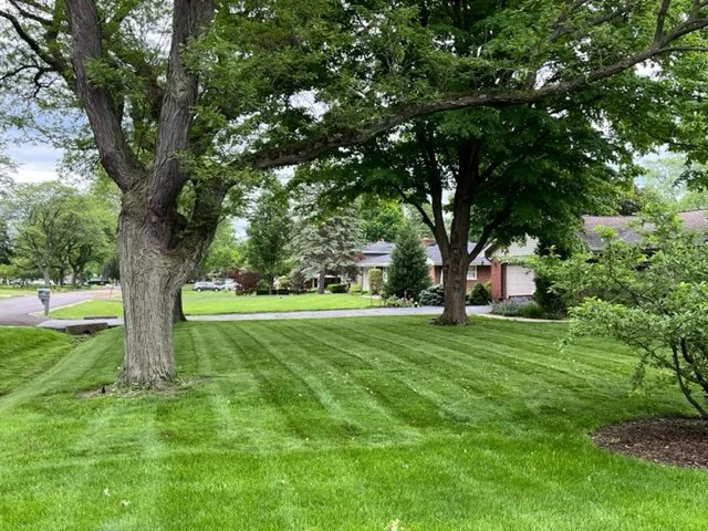 Weekly Lawn Care - Beautiful Striping in Addison Illinois