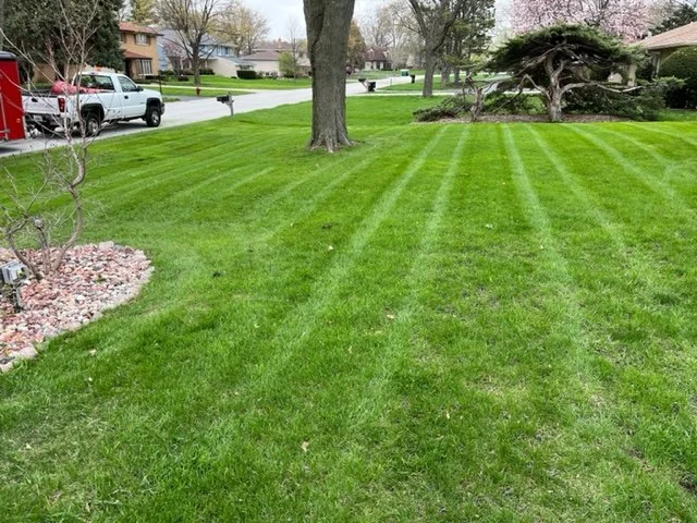 Bloomingdale Illinois lawn care and maintenance