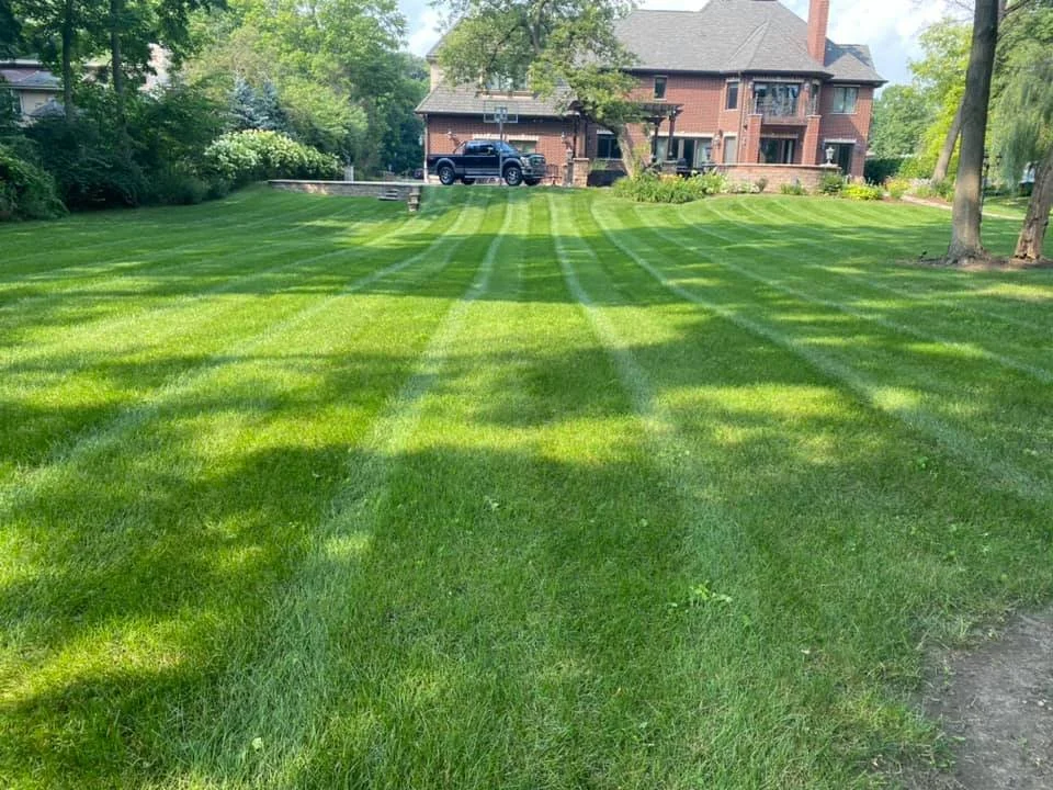 Roselle Illinois Lawn Care and Maintenance
