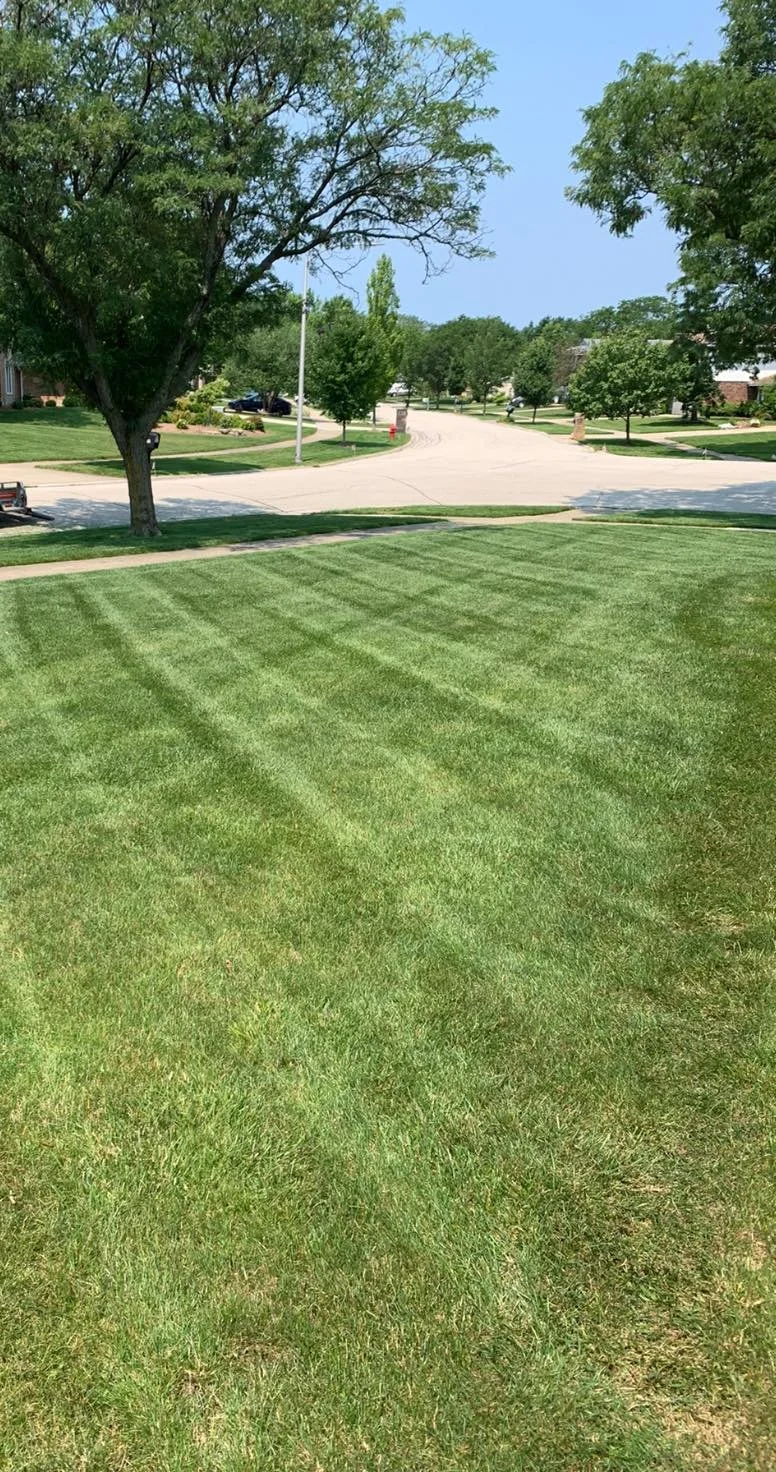 Bloomingdale Illinois lawn care and maintenance