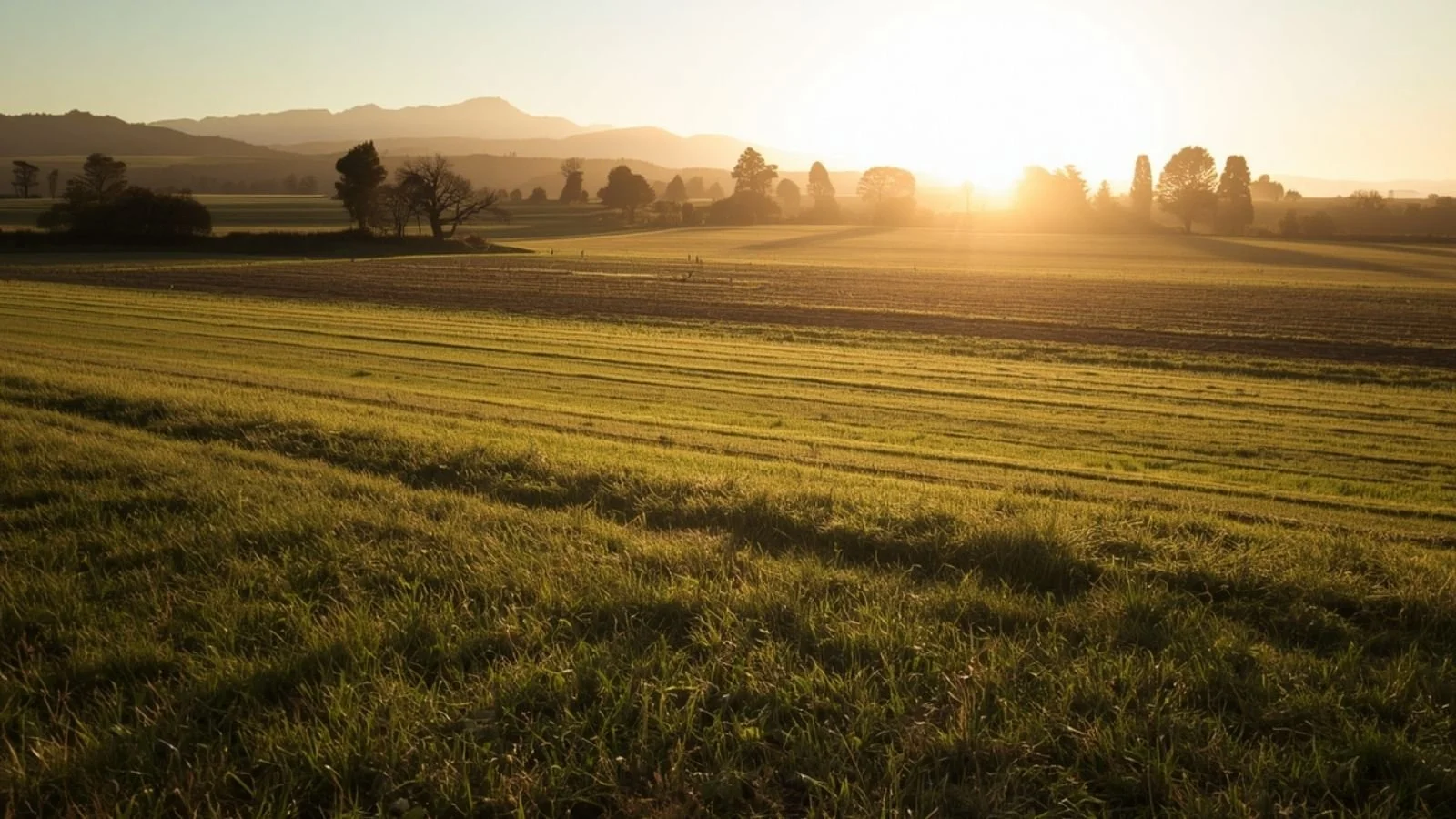 The Next Generation of Nitrogen Systems