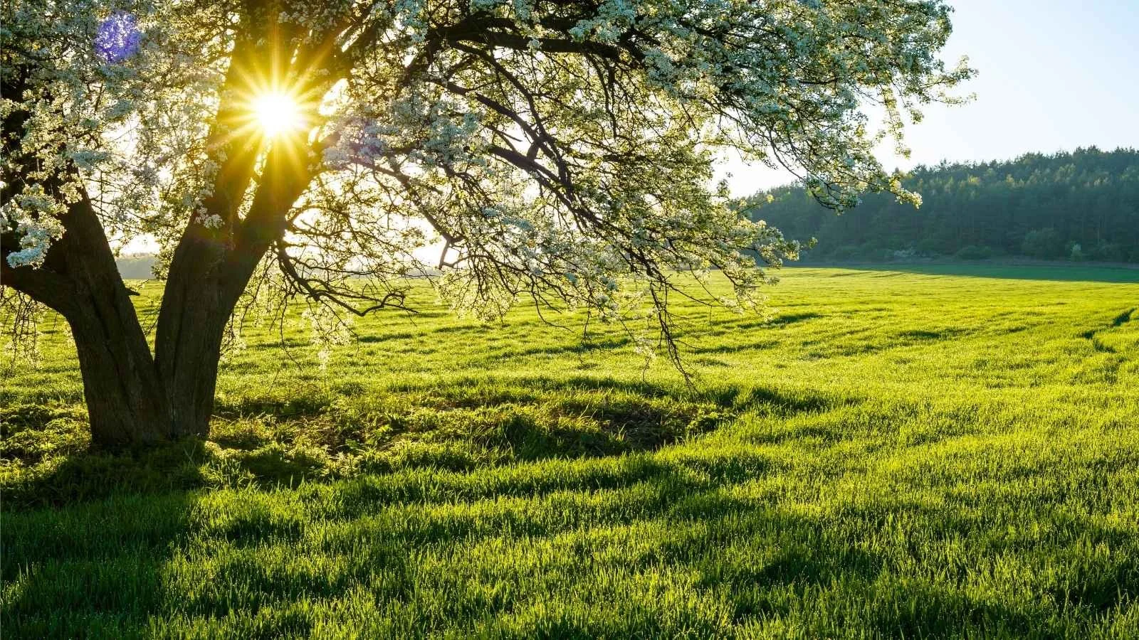 Your Spring Yield Is Already Being Decided: What Happens in Winter Matters More Than You Think.