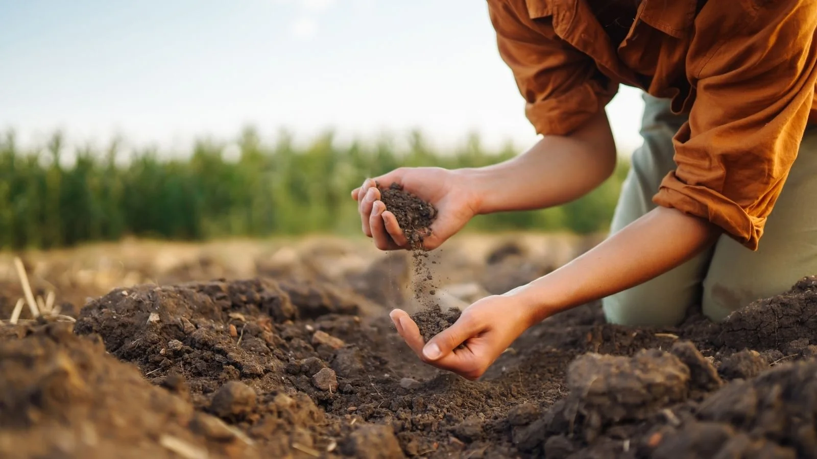Soil Organic Matter Increase of 143% in 6 Months | DCT Case Study — DCT