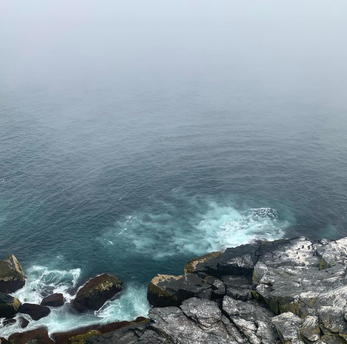 Screen Shot 2021-05-05 at 3.46.31 PM.png