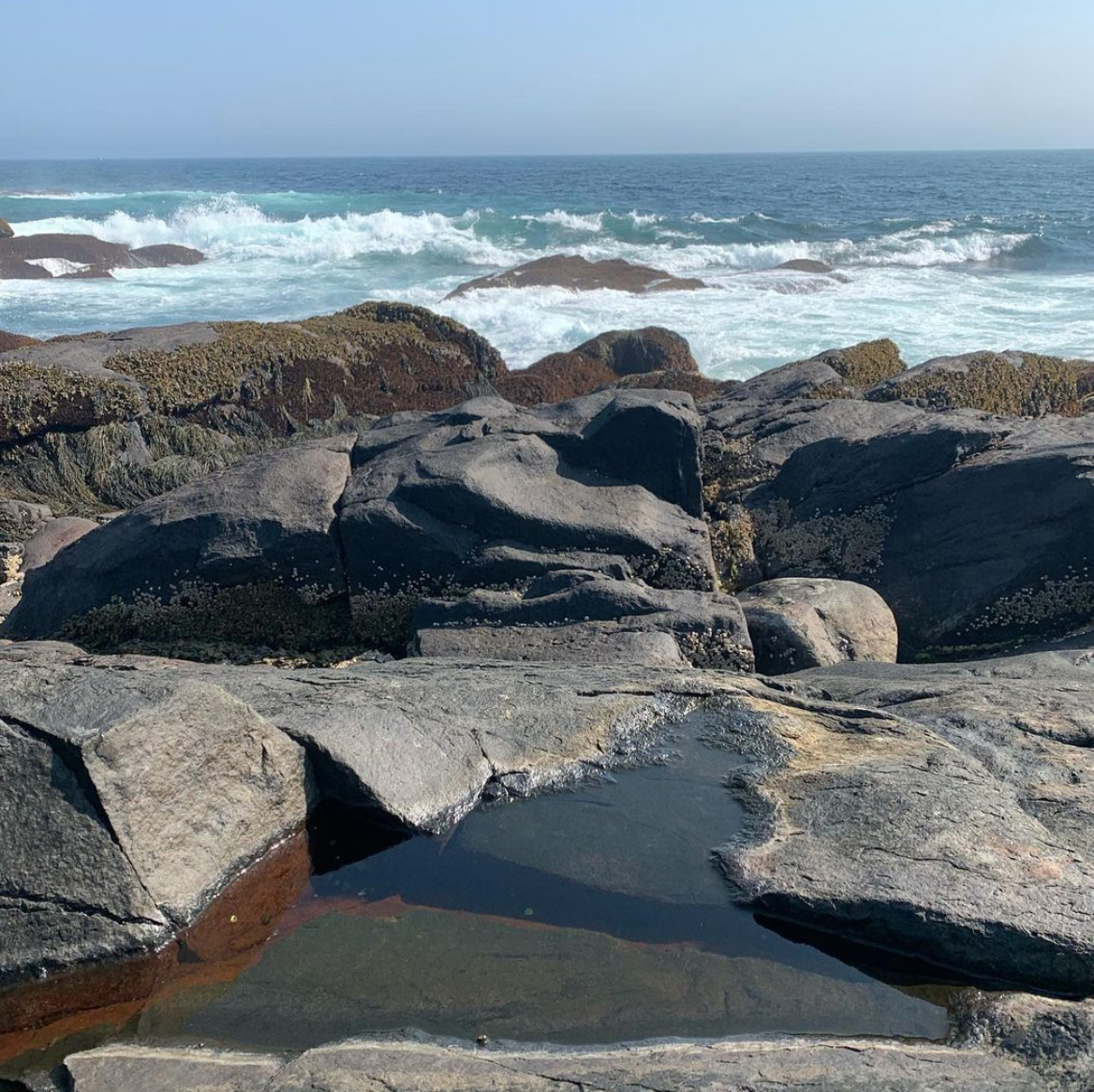 Screen Shot 2021-05-05 at 3.47.30 PM.png