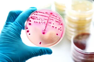 Microbiology — Phase2 Labs