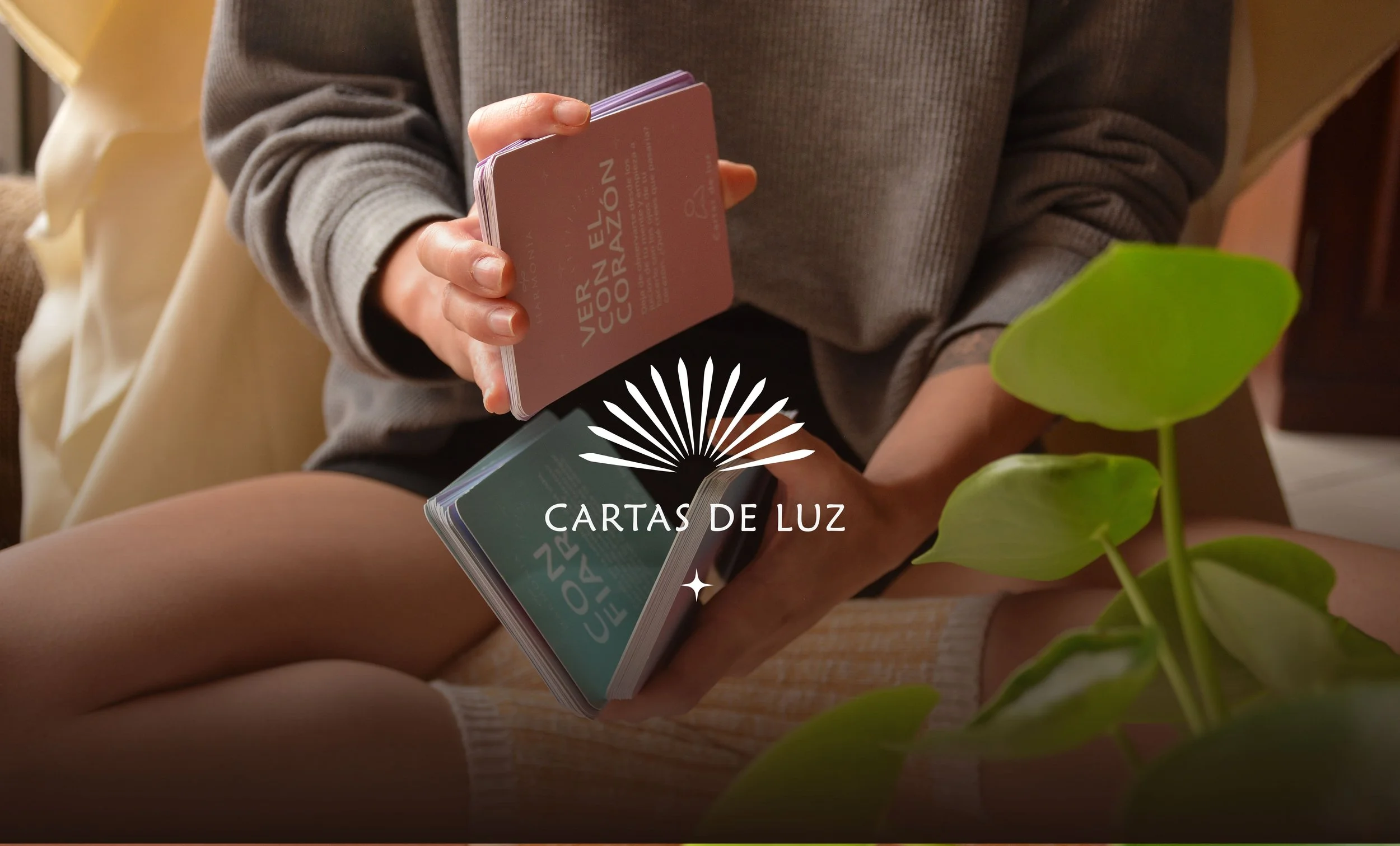CARTAS DE LUZ