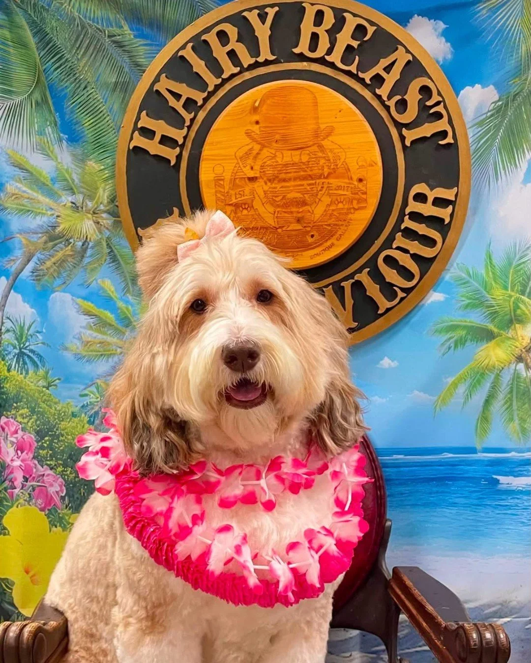 It's Assistance Dog Day and we're celebrating our favorite helper, Miss Tilly! 🐾💕

She always makes our day better and we're so happy to have her here 🐶

And shoutout to Hairy Beast Dog Parlour, who always keeps Tilly looking her best.

#stephanie