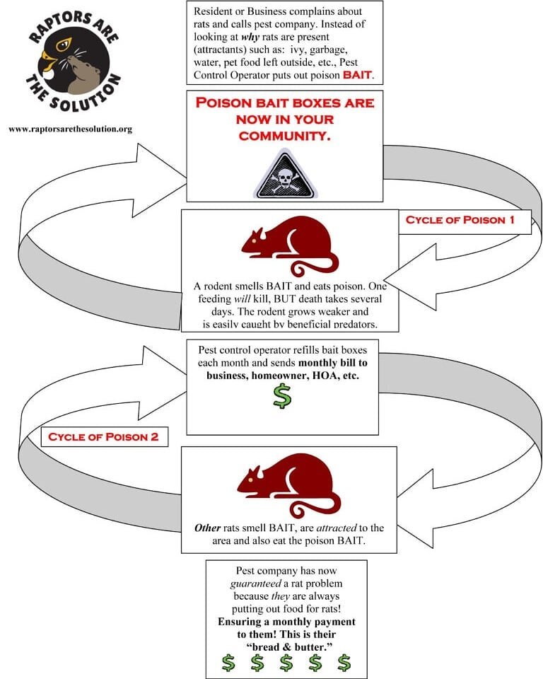 Now that the government of BC has called for an 18 month ban of the sale and use of second generation rodenticides, it's more important than ever to be aware of our surroundings! 

On your morning commute to work, do you notice little black boxes lit