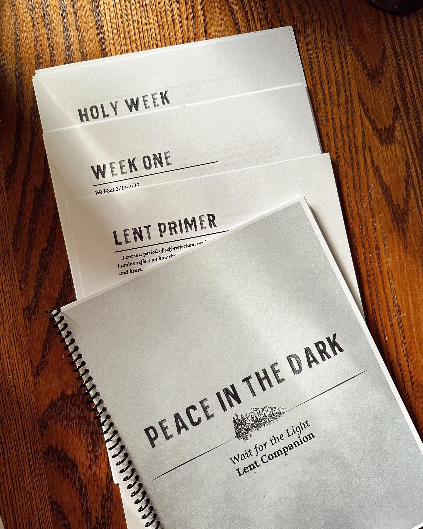 When I think of the next few weeks the thing that I am most looking forward to is going through this companion guide to Peace in the Dark with the online reading circle. It&rsquo;s a robust guide with a Lent Primer, weekly prompts and a special secti