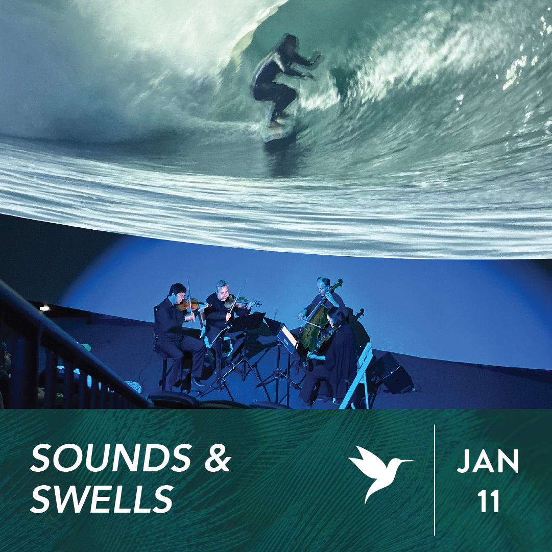 Sounds &amp; Swells
