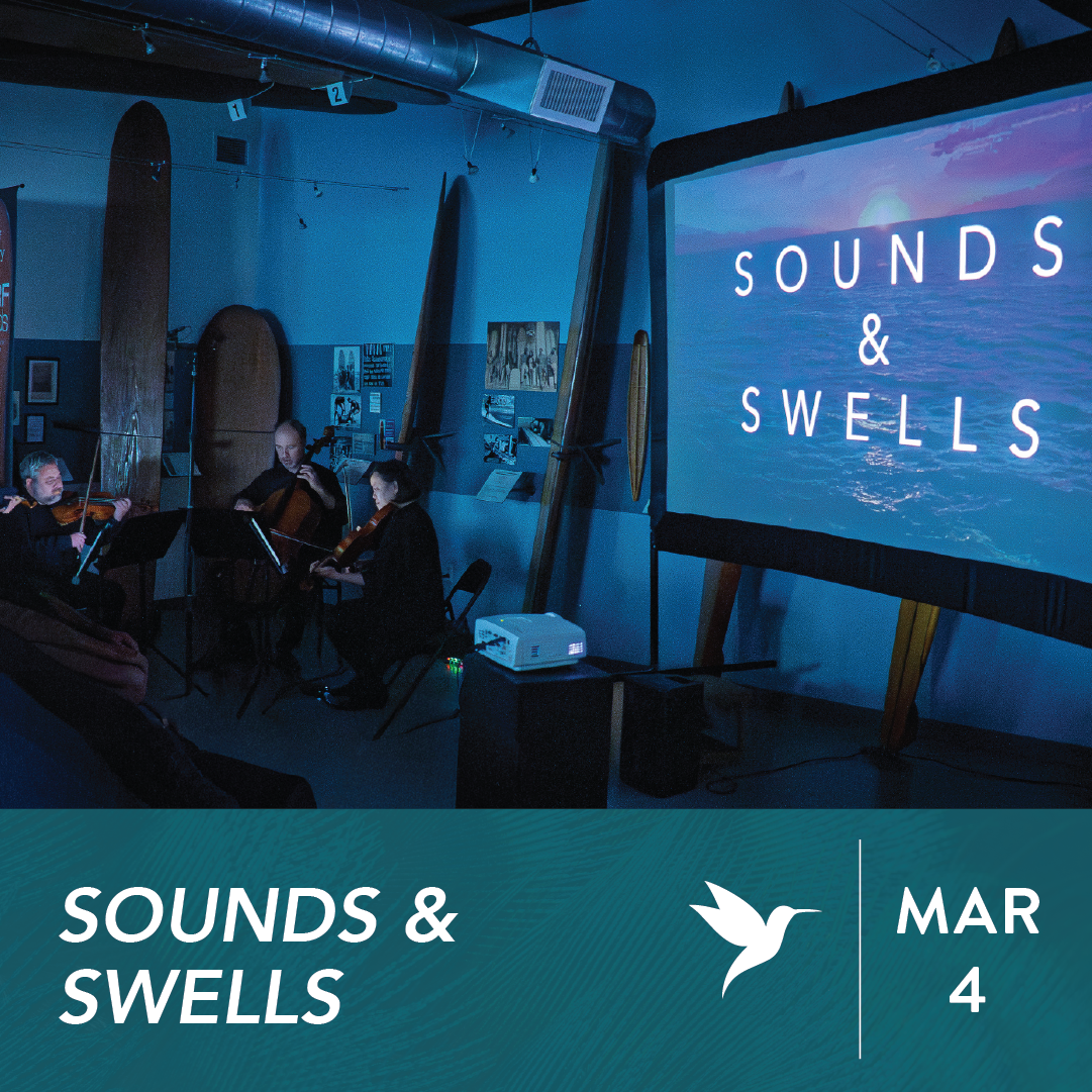 Sounds & Swells