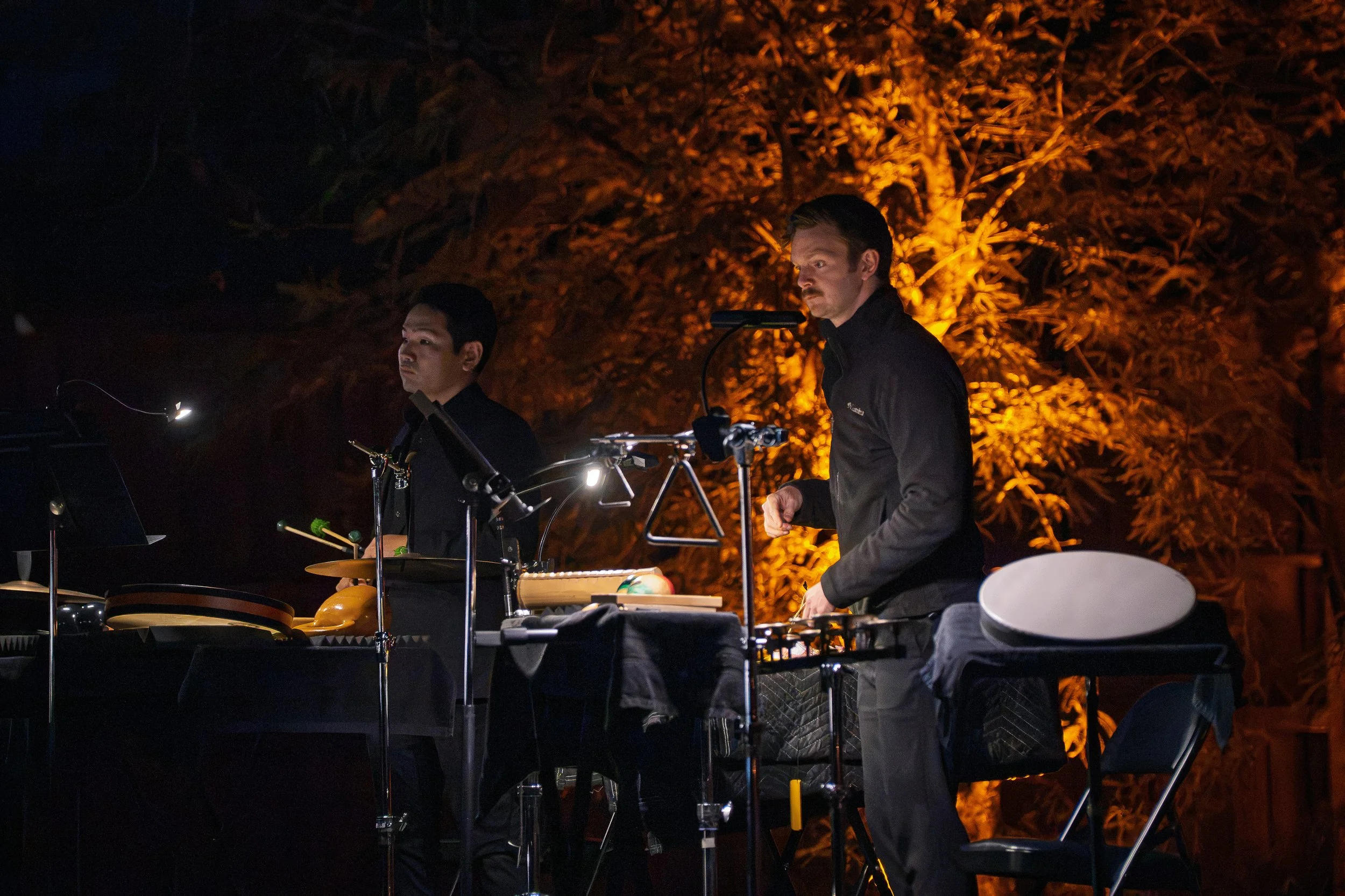 AoE_Messiaen_1065.jpg