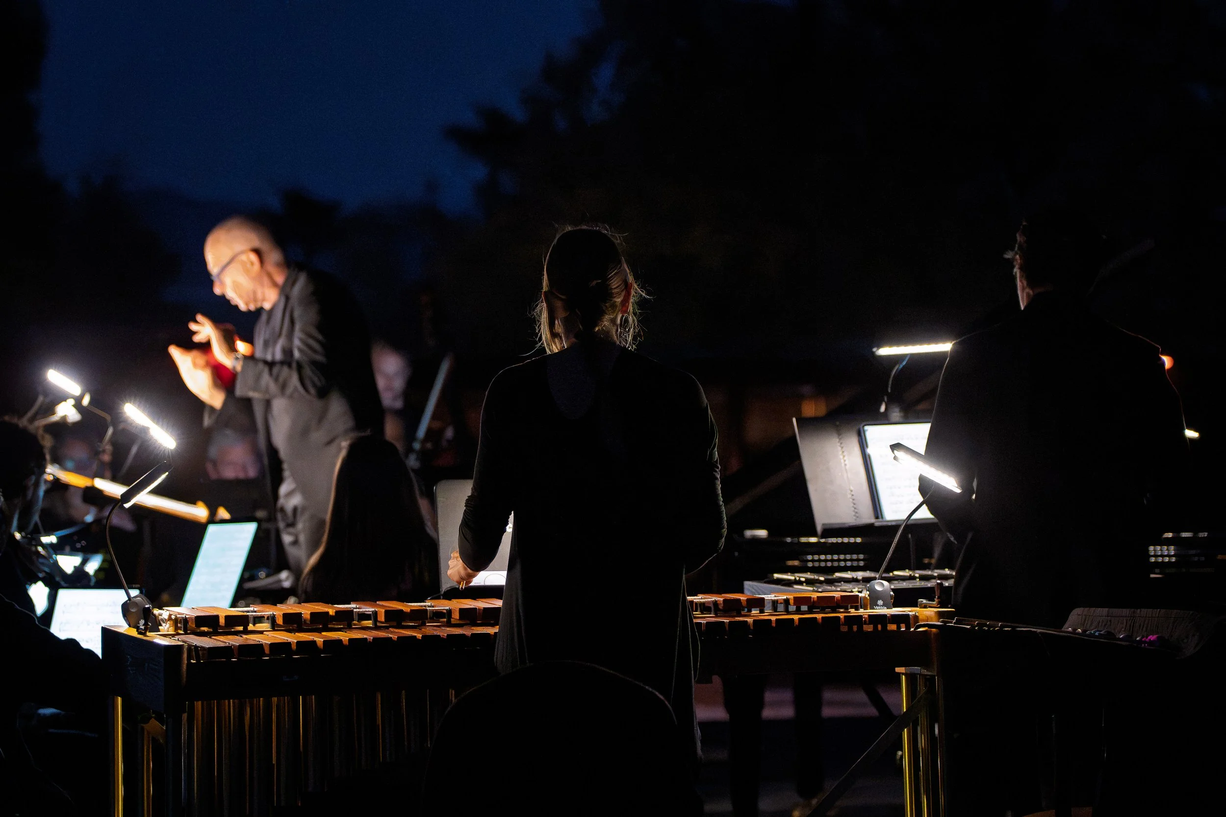 AoE_Messiaen_1001.jpg