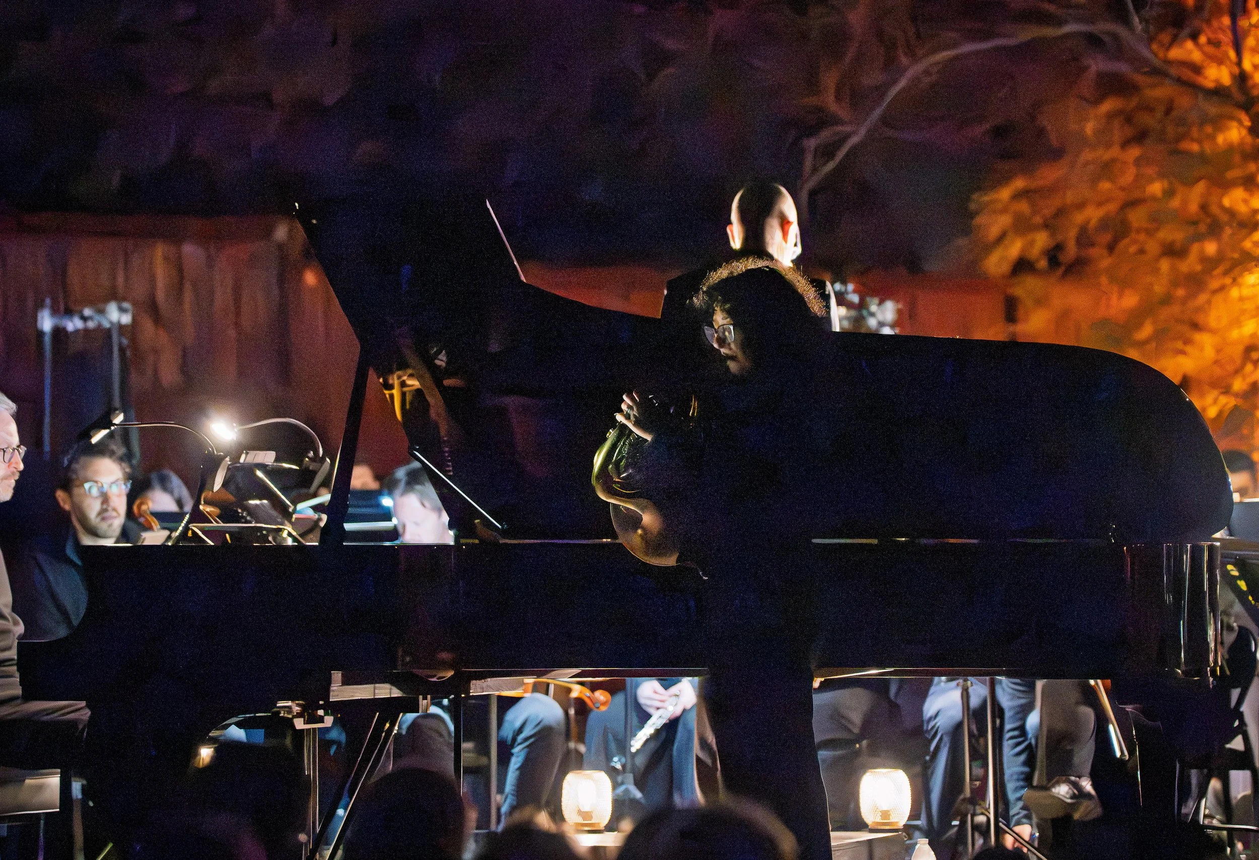 AoE_Messiaen_1100.jpg