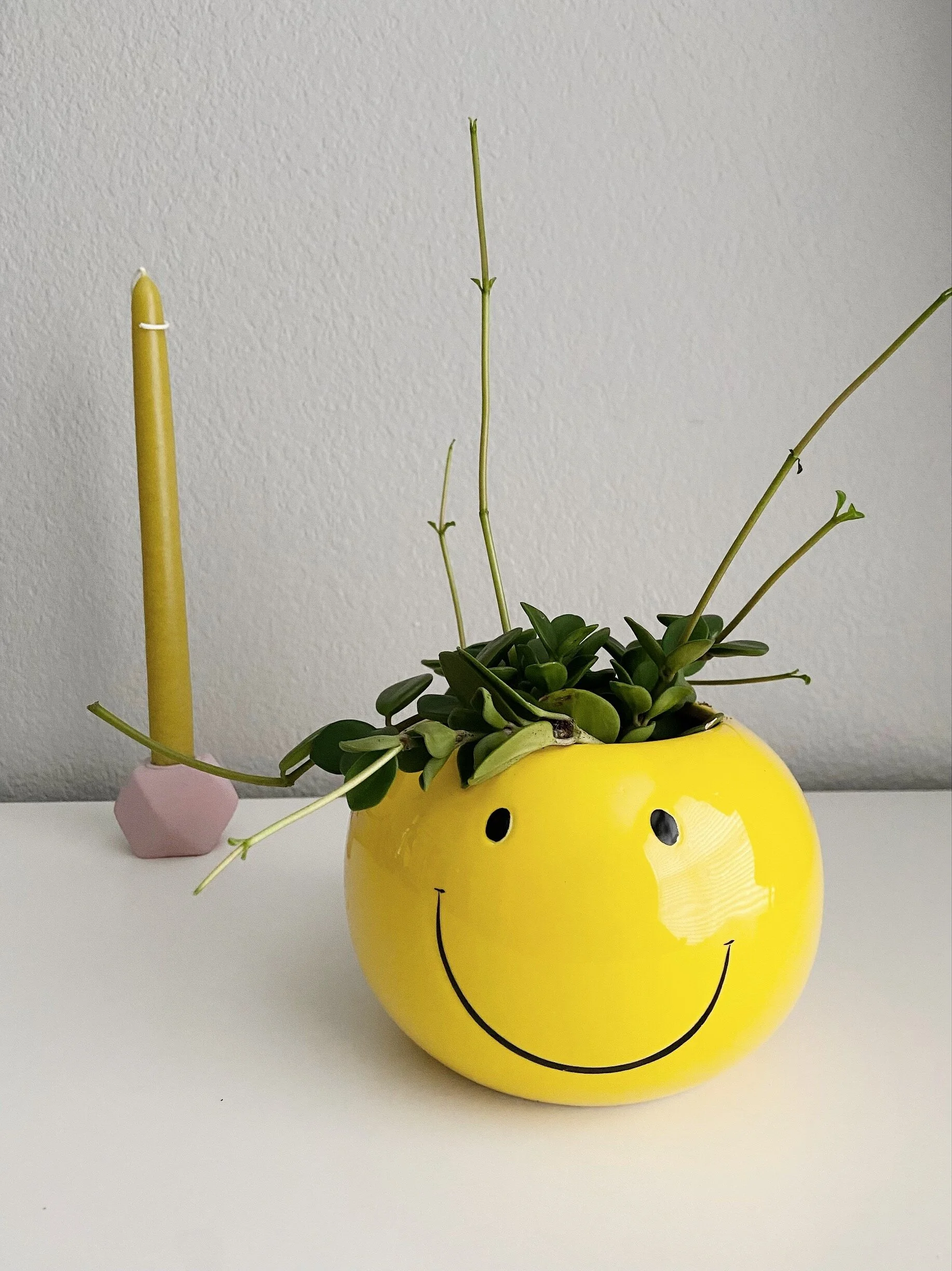 BC4B3A77-898C-4CF0-A8ED-5EA2B00EDD70