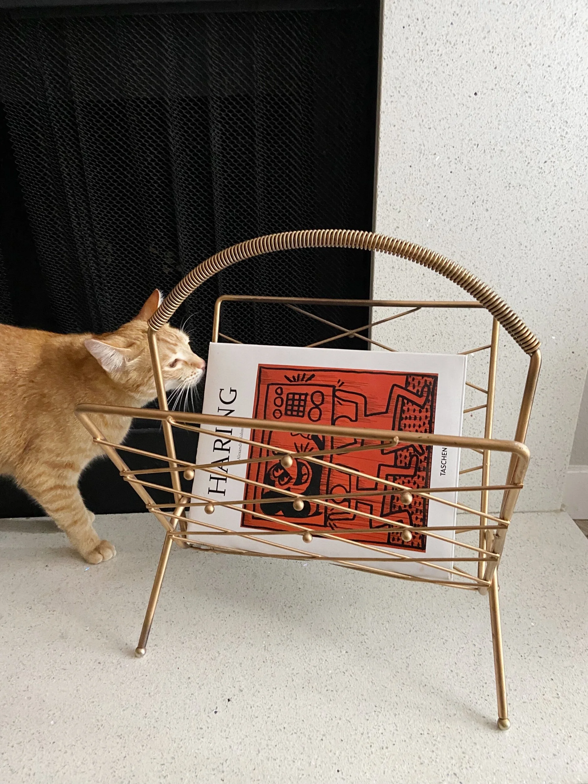 D8809EA0-6EC7-4B5F-91F8-B32743E58158