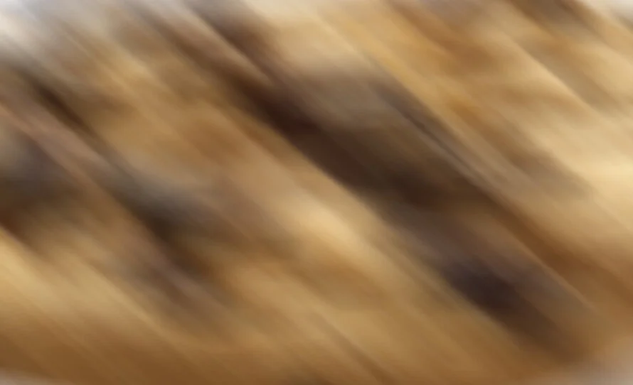 board__0008_Layer 9.jpg