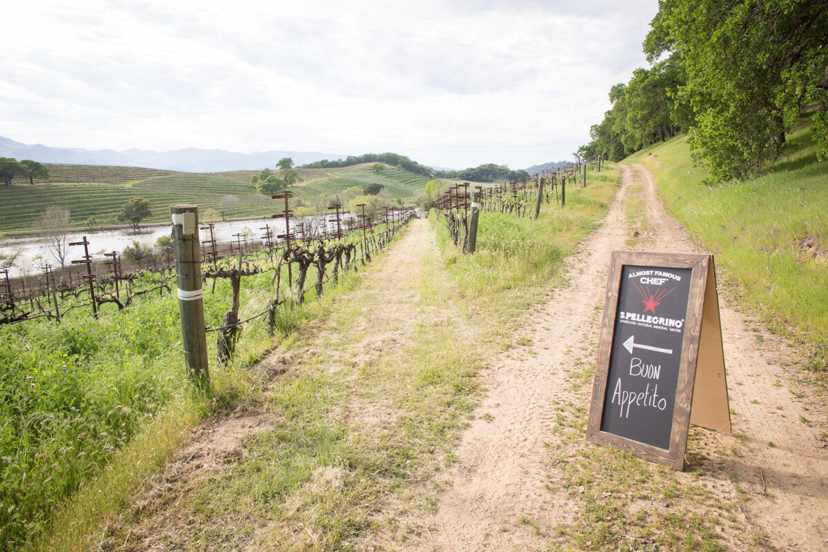 2015 Almost Famous Chef-1379.jpg