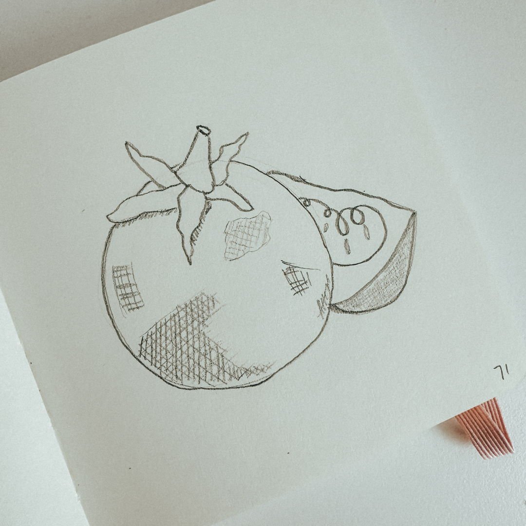 71: Tomato
100 plant sketches
#sketchbook #sketchbookart #plantdrawing