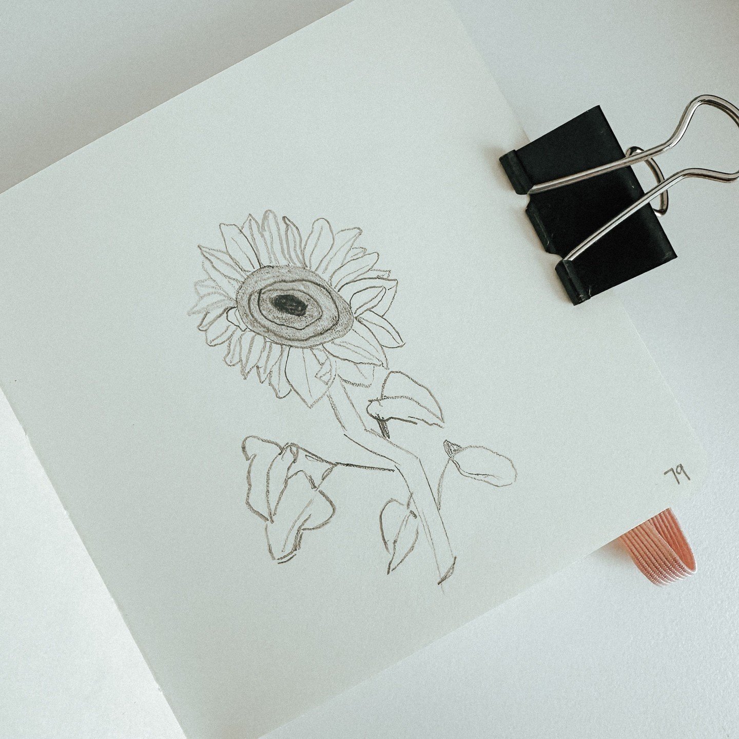 79: Sunflower
100 plant sketches
#sketchbook #sketchbookart #plantdrawing