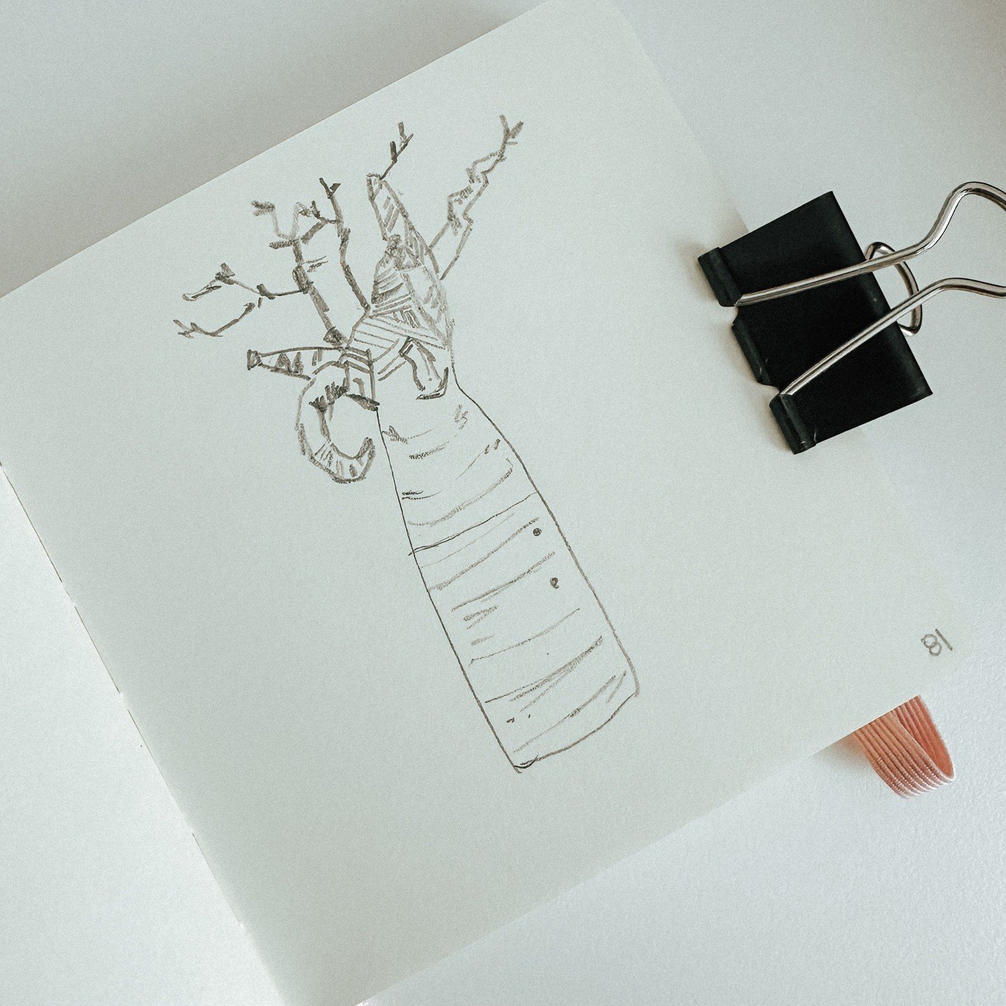 81: Baobab
100 plant sketches
#sketchbook #sketchbookart #plantdrawing