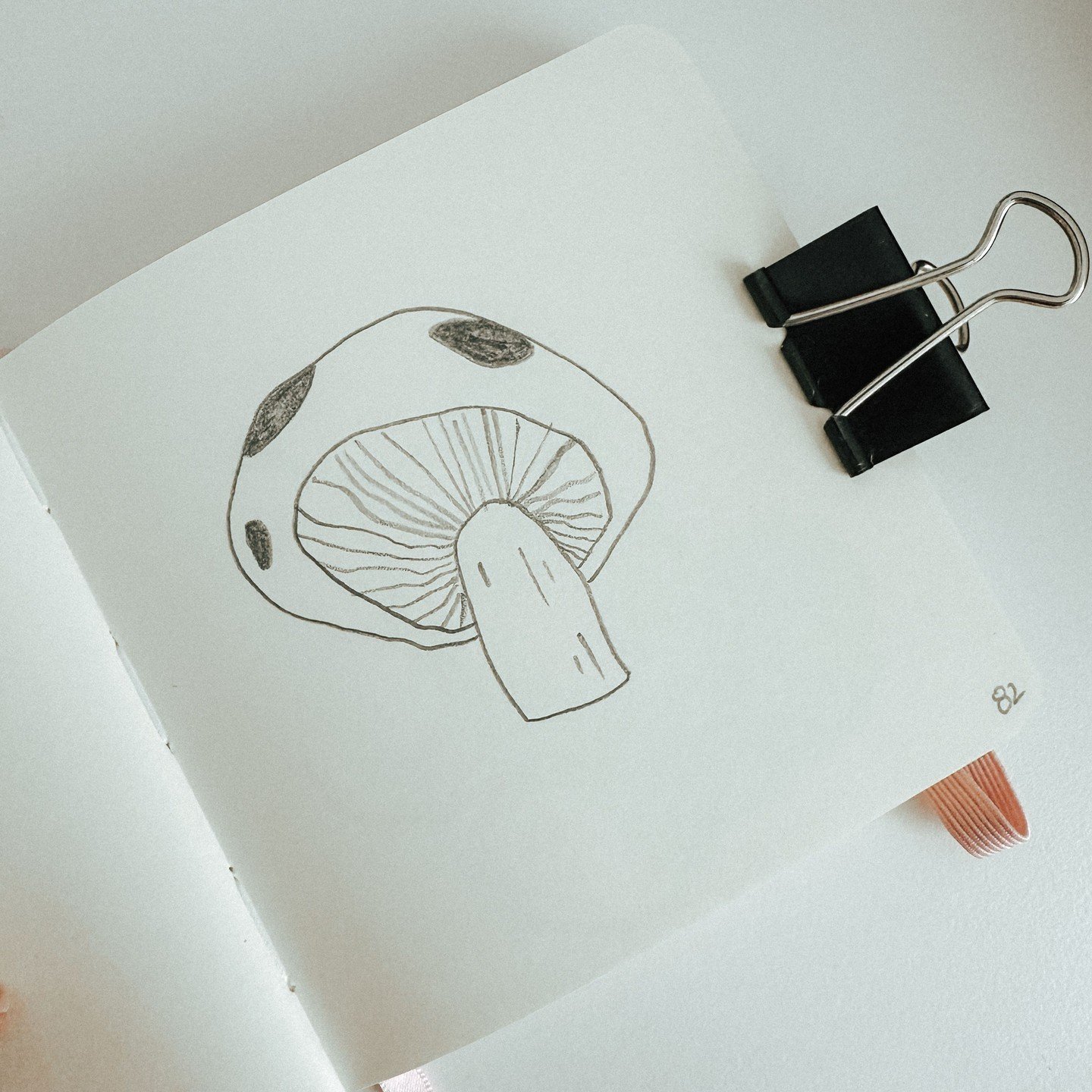 82: Mushroom
100 plant sketches
#sketchbook #sketchbookart #plantdrawing