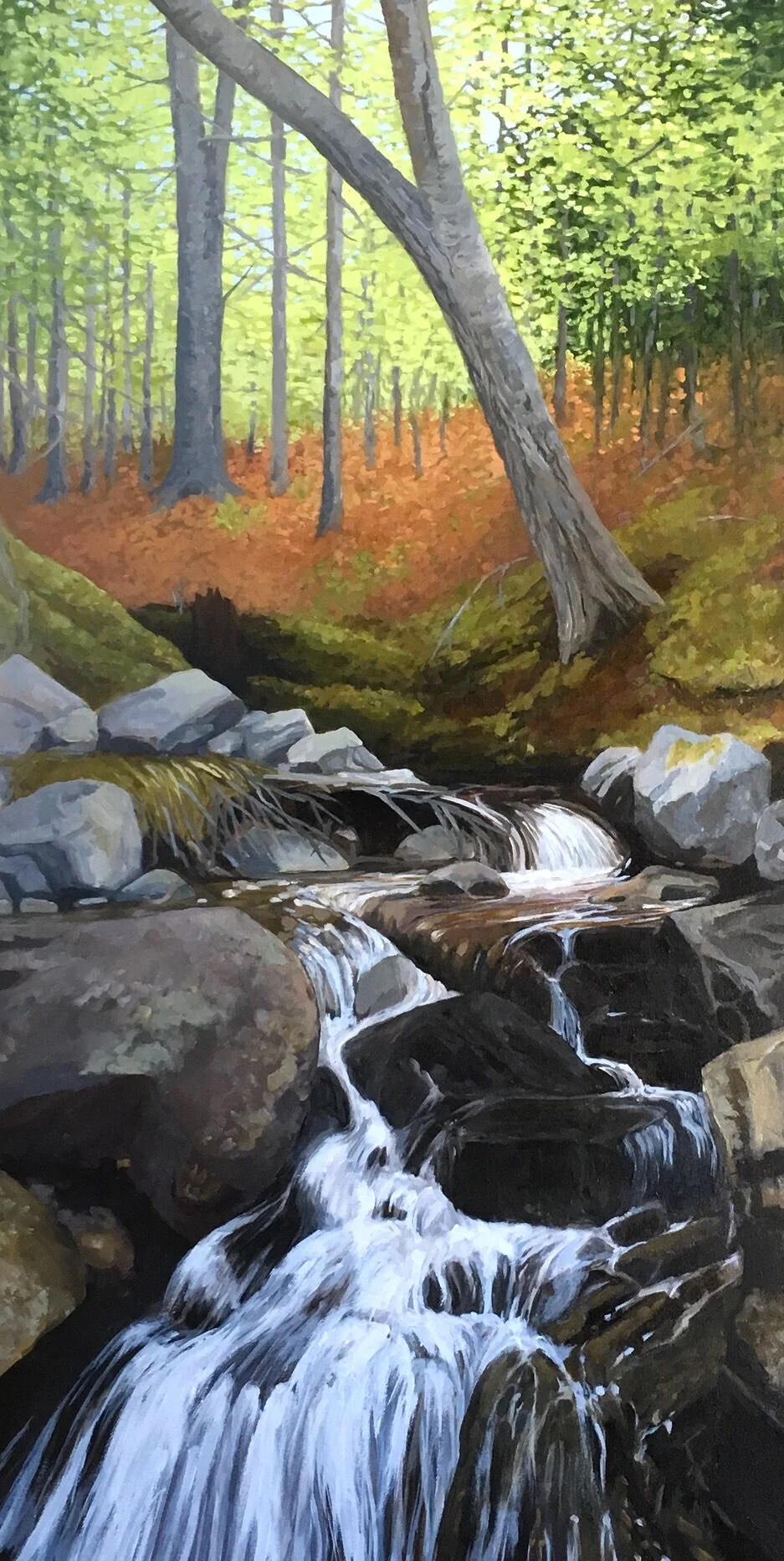 Drinking Place Brook.jpeg