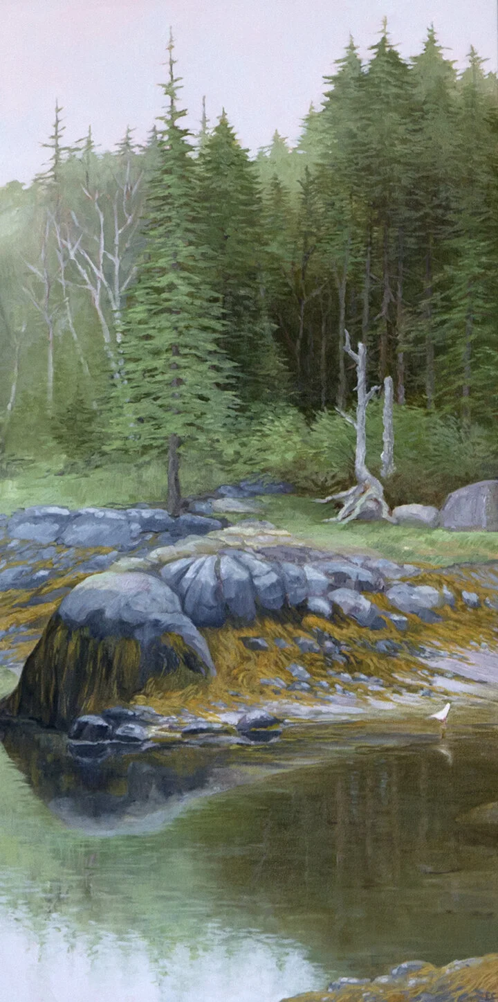 Summer Fog Indian Creek.jpg