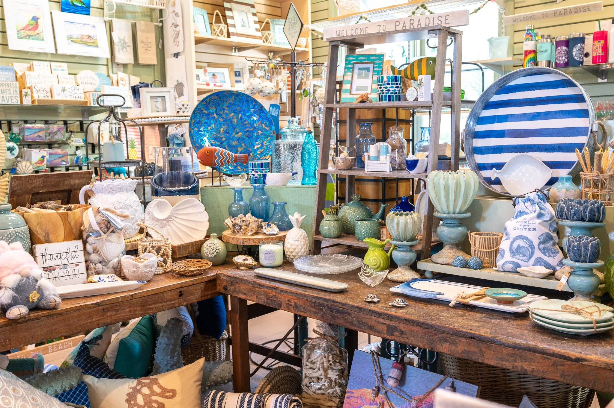 Coastal gifts, sea turtle merchandise, home décor, and educational displays inside Turtle Central at the Bald Head Island Conservancy.