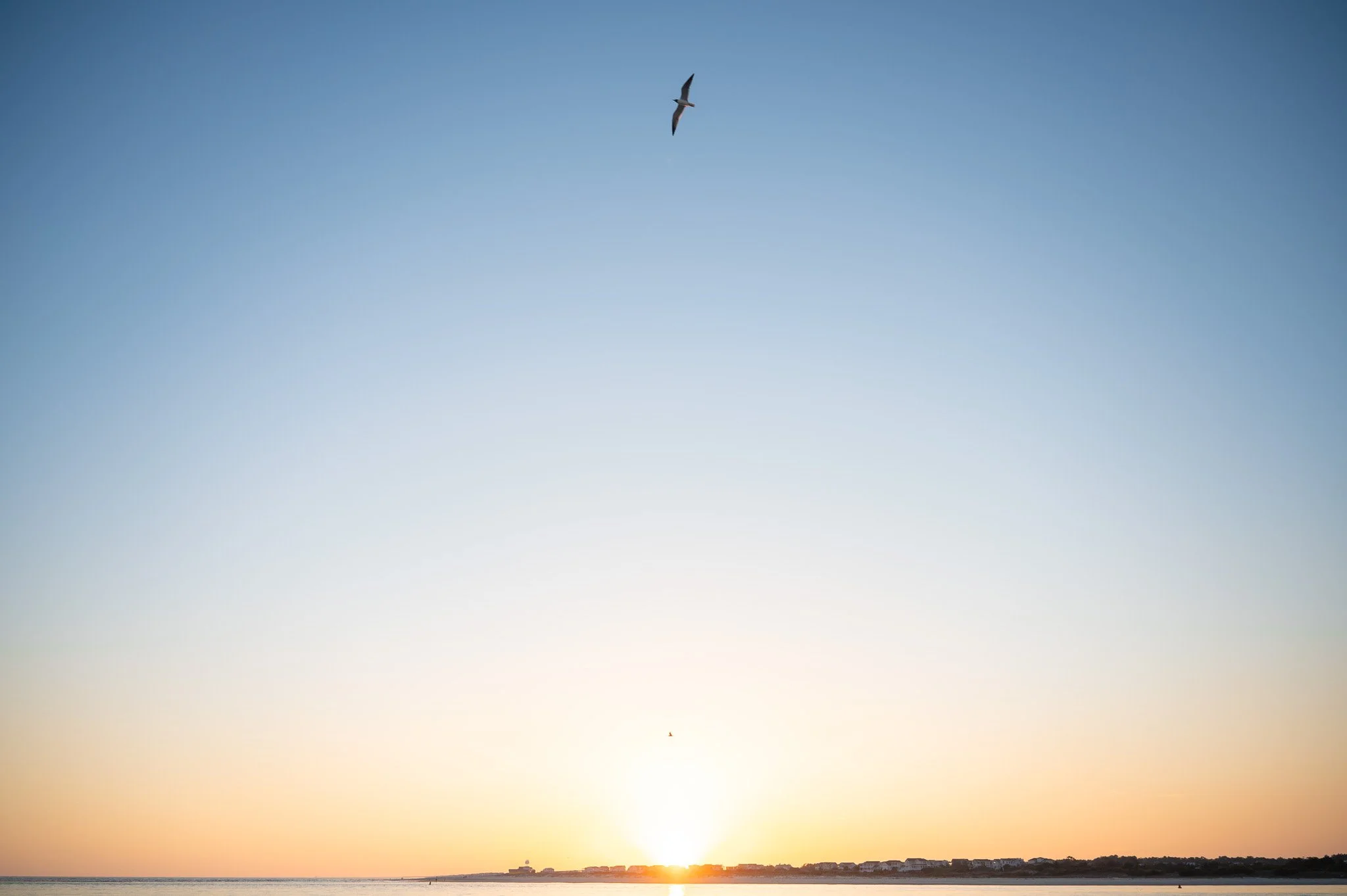 Seagull soaring above The Point on Oak Island, North Carolina, during a peaceful sunset along the coast.