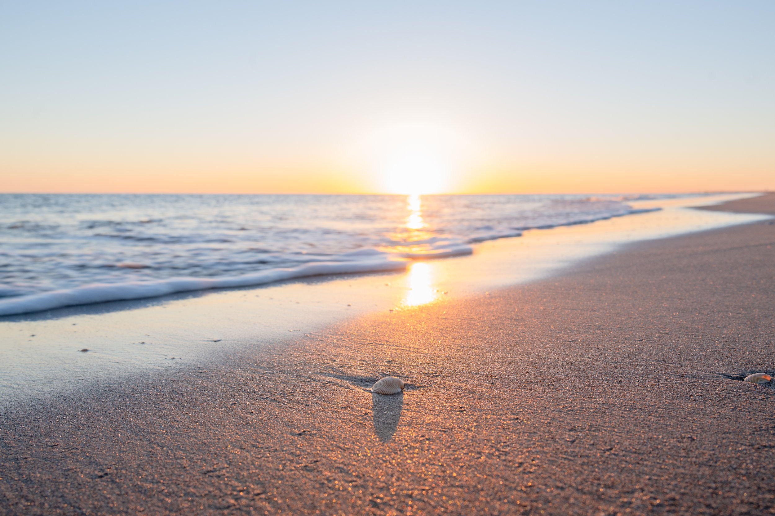 Seashell resting along the shoreline at sunrise on Caswell Beach in Oak Island, North Carolina.
