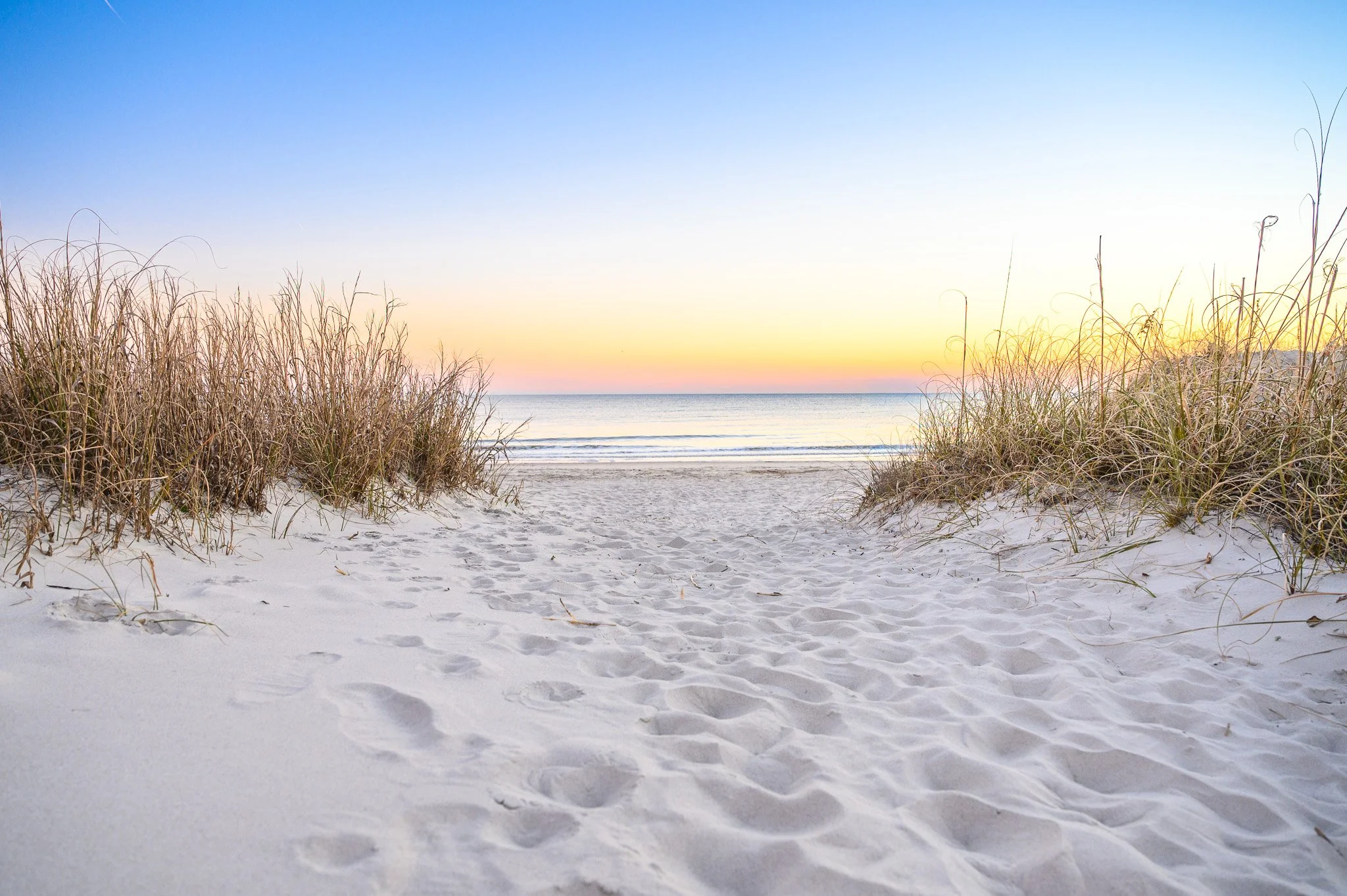 Sandy path through coastal dunes leading to a beach on Bald Head Island, North Carolina.