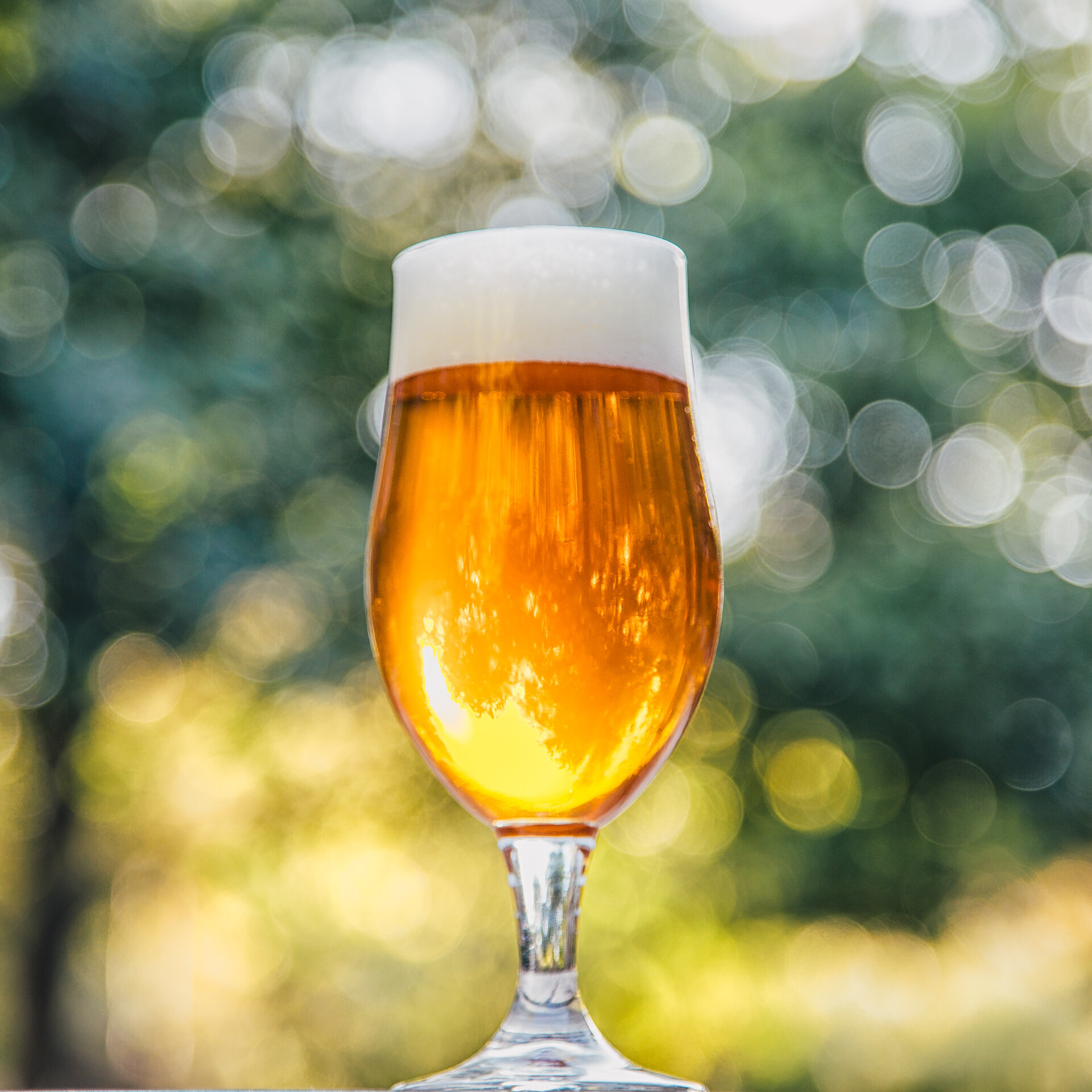 IPA_outside.jpg