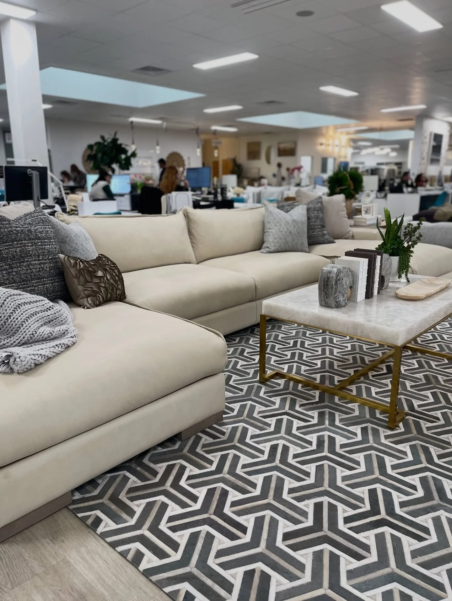 DRC is here to help you design exactly the way you want to. With access to over 250 brands,we can source everything your project needs &mdash; and special order it for you while we handle all the details behind the scenes✨

Design your vision. We&rs