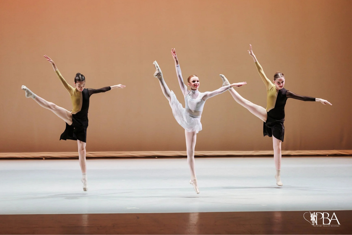 Discover the Art of Contemporary Fusion