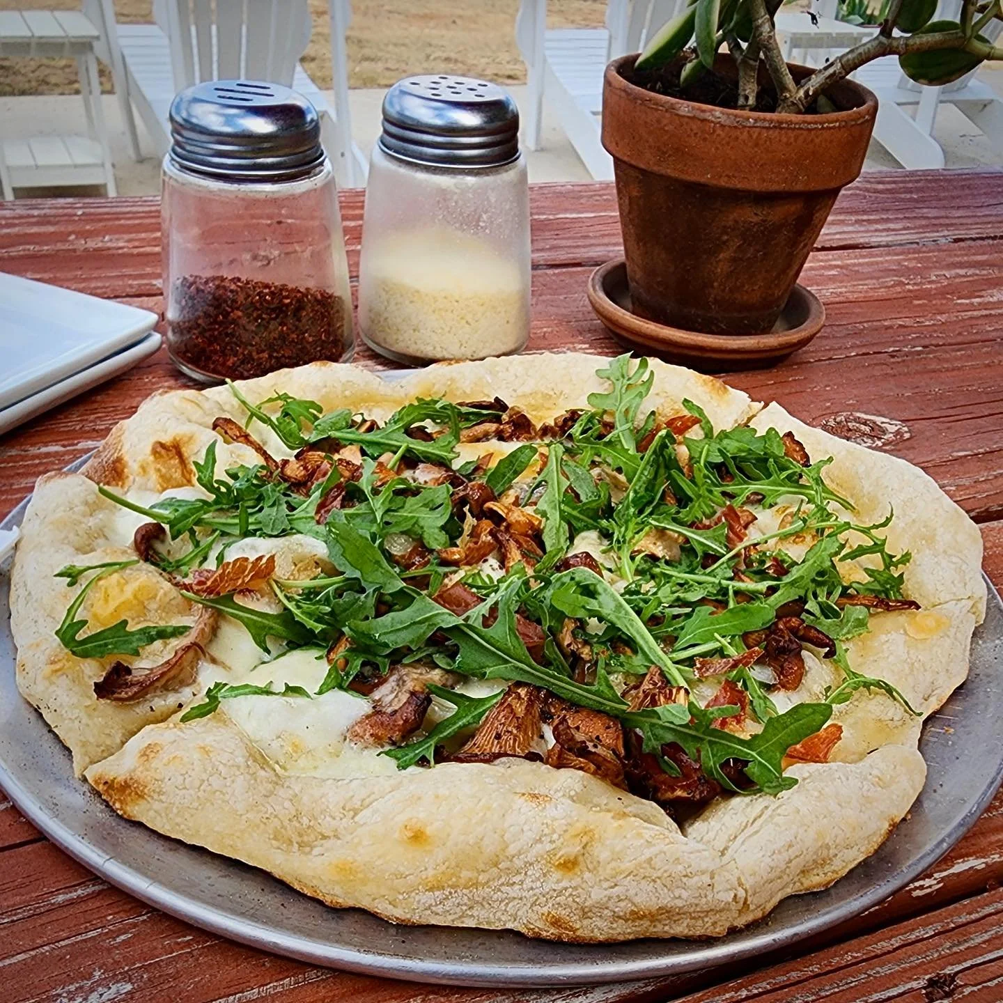 ✨Chanterelley Lace Pizza✨
Drizzled with olive oil and topped with chanterelle mushrooms, fresh mozzarella, shaved parmesan, arugula, and crispy prosciutto! Our special this week is our Chanterelley Lace Pizza. She&rsquo;s light, bright, oh so fancy a