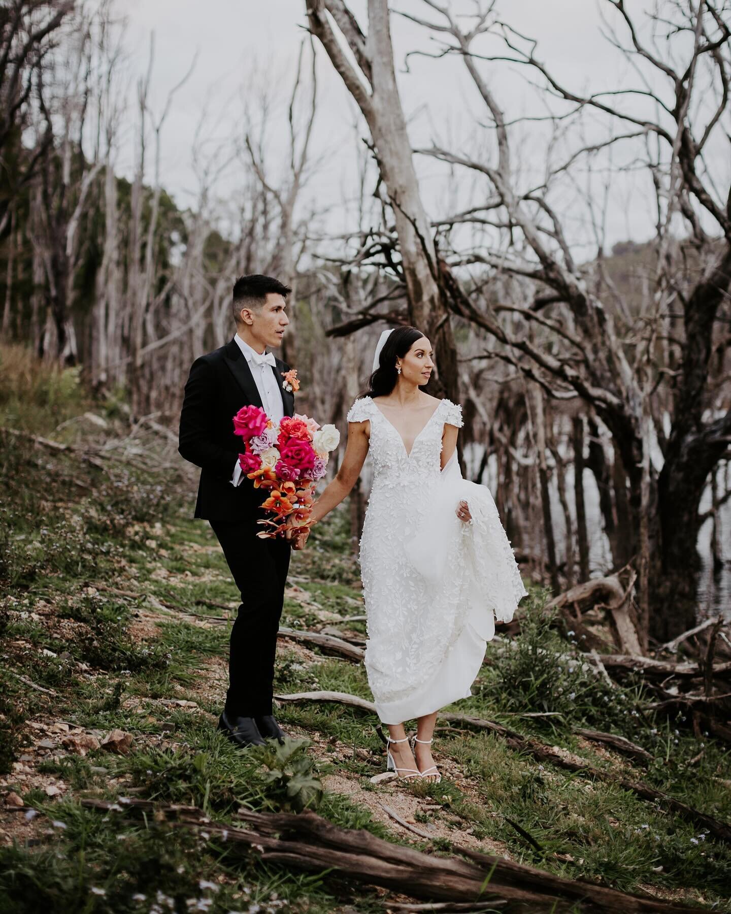 ~ Rob &amp; Ally ~ 
Love me some dead trees &amp; moody light. 
Stunning wedding @theacreboomerangfarm with these two. 

Florist @emunahevents_ 
Hair and makeup @blushdbrides 
Dress @madewithlovebridal 
suit @institchu 
Celebrant @laurenmareecelebran