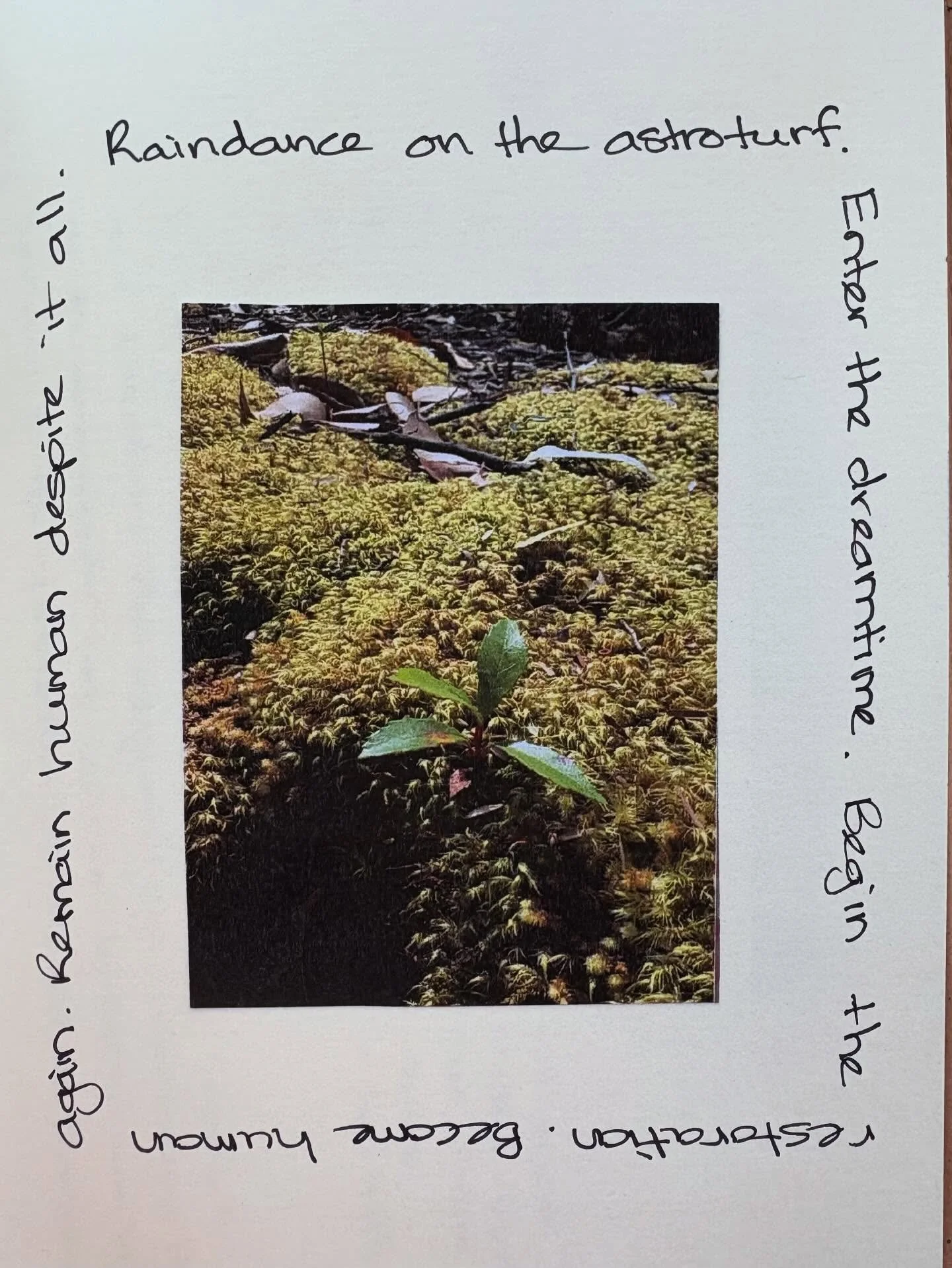 Against the Machine by Paul Kingsnorth.
Essential reading for our times.

Raindance on the astroturf.
Enter the dreamtime.
Begin the restoration.
Become human again.
Remain human despite it all.

#artjournal #againstthemachine #remainhuman #restorati