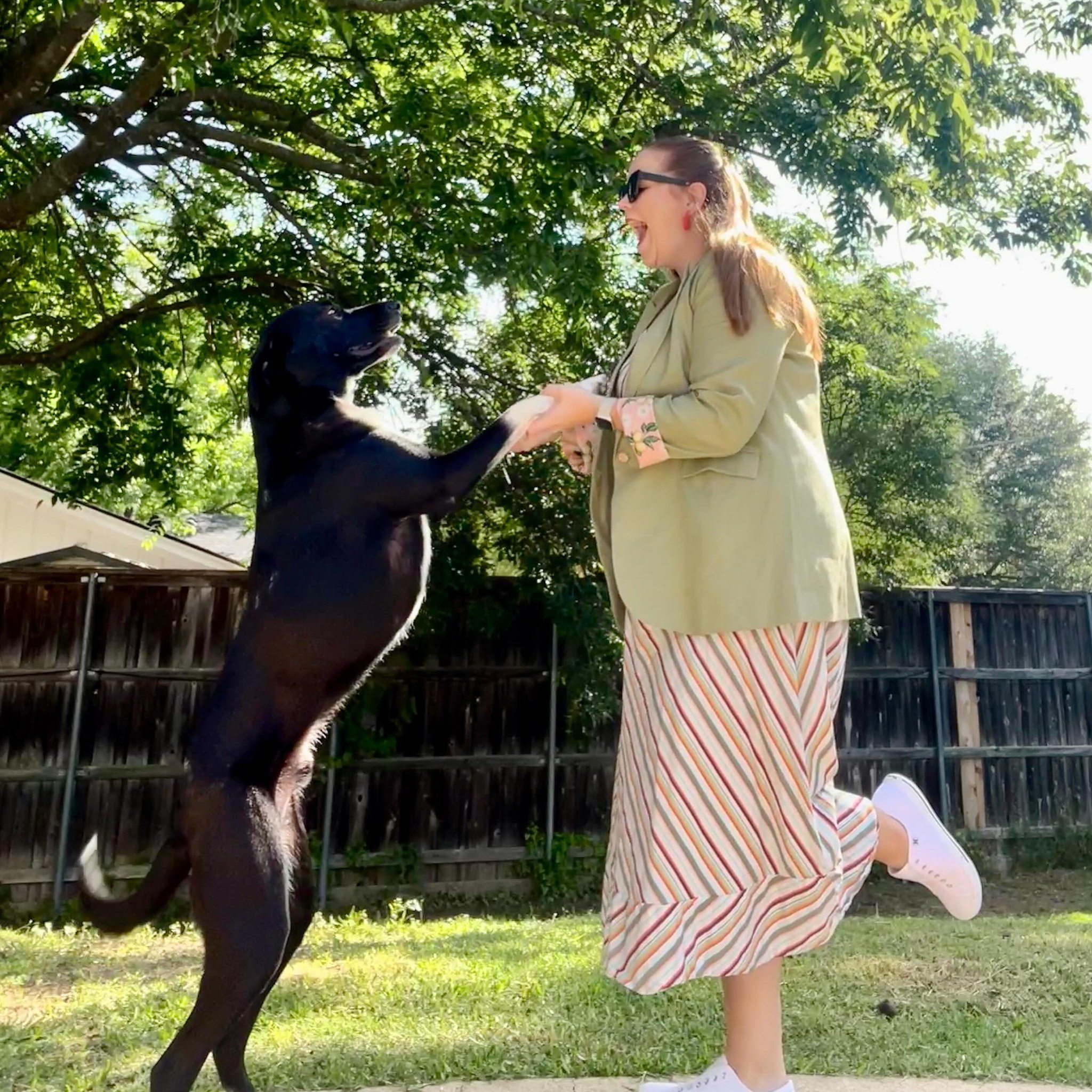 Felt cute - Willy did too ❤️

Dress - it&rsquo;s a rental from @nuuly 
Blazer - it&rsquo;s new and I&rsquo;m obsessed @pwr_wmn 
Shoes -  @costco